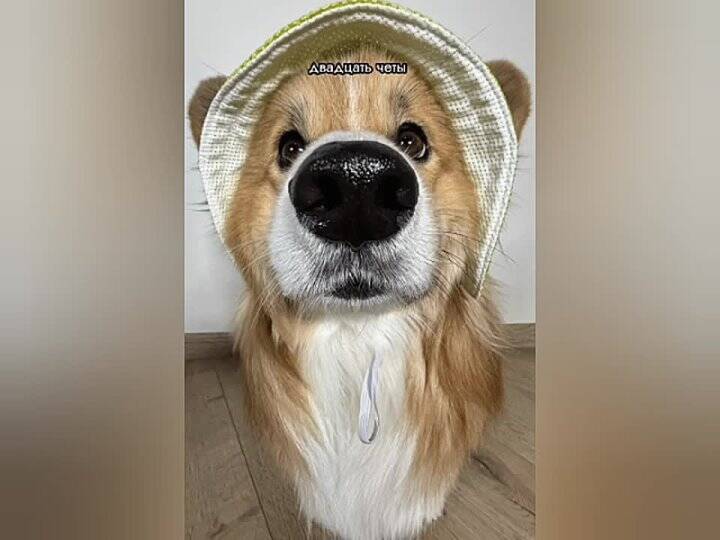 ������������