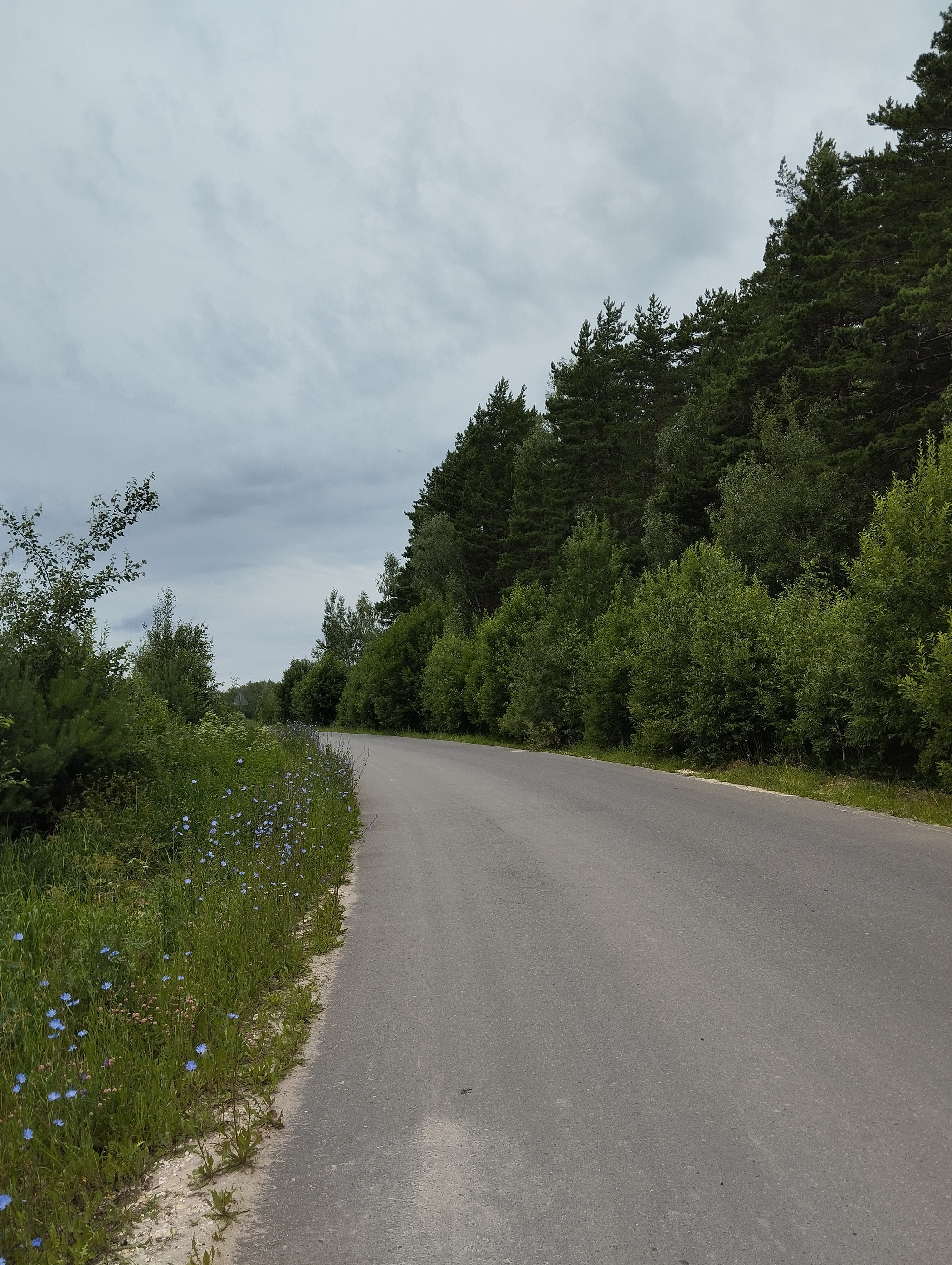 Walk, 20 km - My, Tourism, Hike, Russia, Moscow region, The photo, Church, Longpost