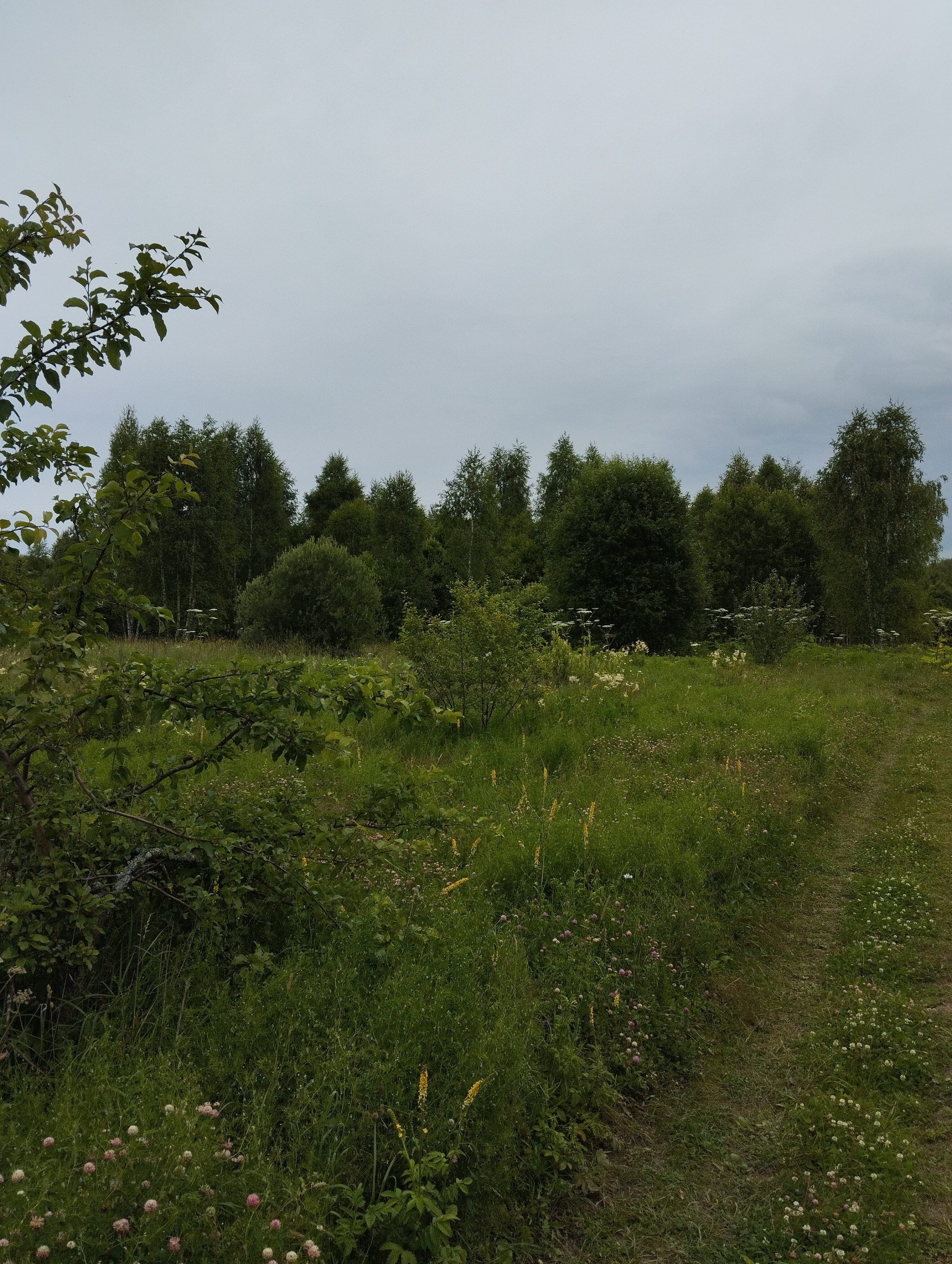 Walk, 20 km - My, Tourism, Hike, Russia, Moscow region, The photo, Church, Longpost