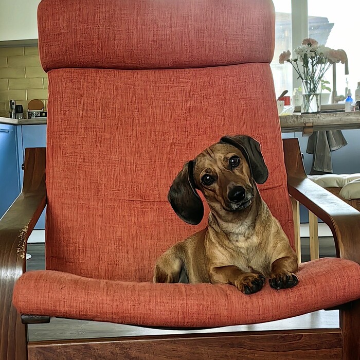 ��������� �����