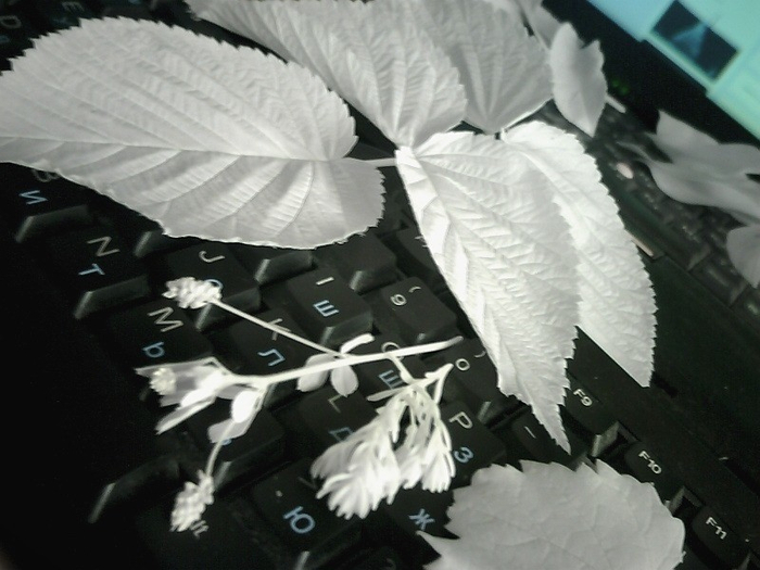 Ххх Зрение, Картина, Длиннопост