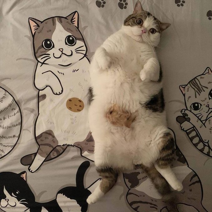   ,  ,  ,  ,  