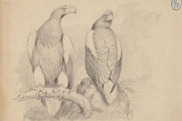  ..  .    ..      л. 1945-1947 .