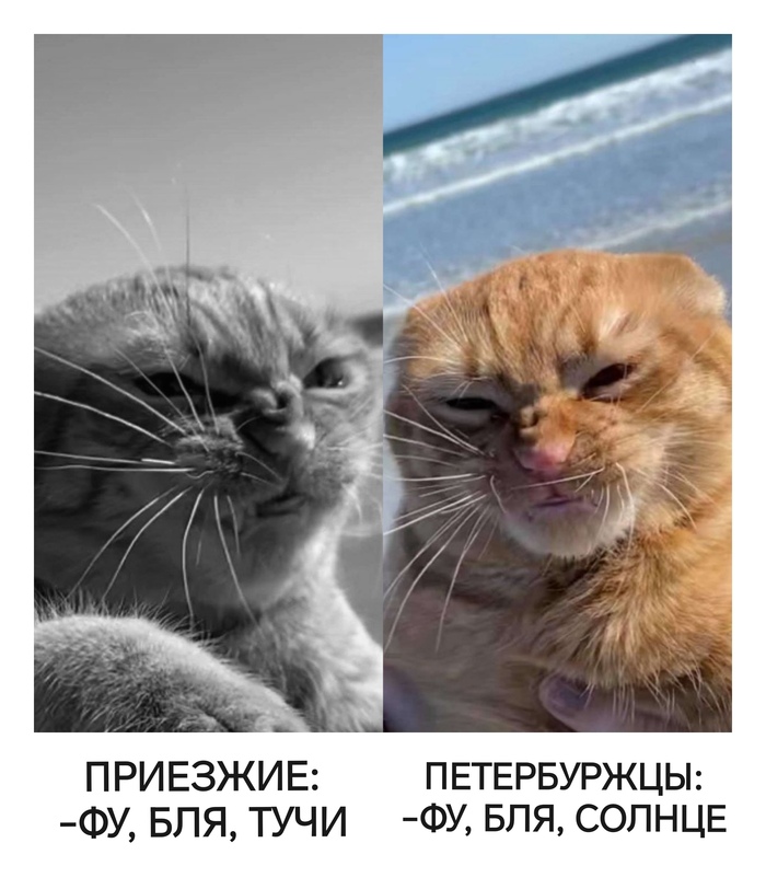 Что за жёлтое пятно в небе?