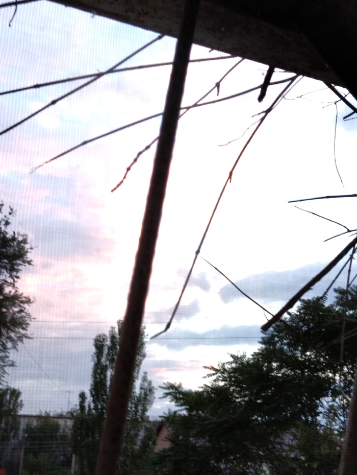    , , , , , , , , 