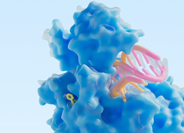 Первое лекарство, созданное с помощью искусственного интеллекта, готовится пройти клинические испытания