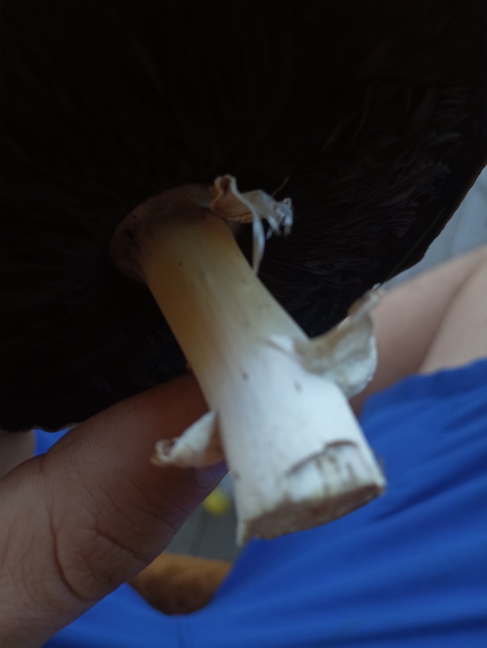  , , , 