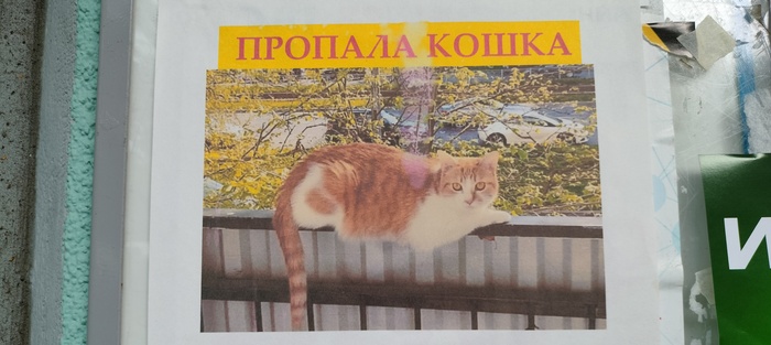 ,  ,     ?