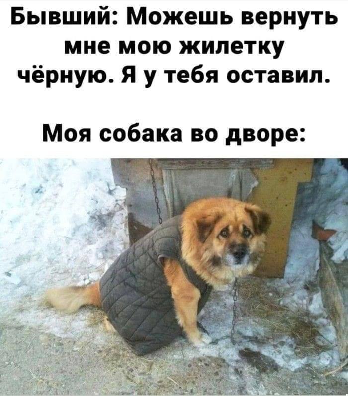  ,   , , , 