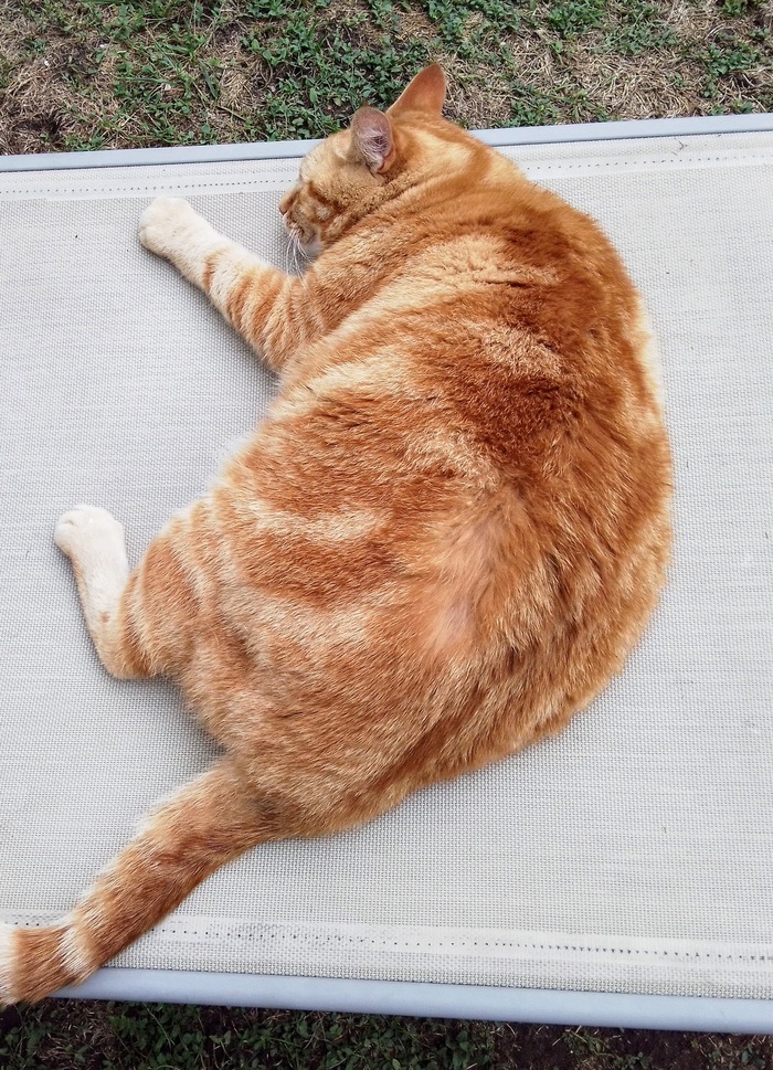 7 �� ����)