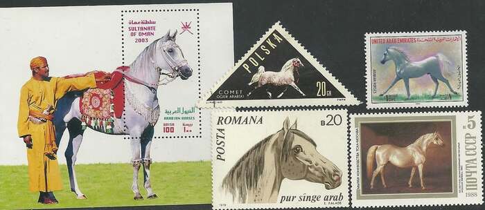 Довелось повидать?