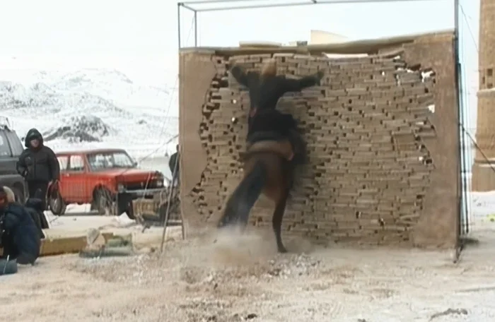 Как снимали фильм Дневной дозор: кадры со съемок и 14 интересных фактов о фильме Фото со съемок, Актеры и актрисы, Сергей Лукьяненко, Дневной дозор, Знаменитости, Яндекс Дзен (ссылка), Длиннопост, Тимур Бекмамбетов