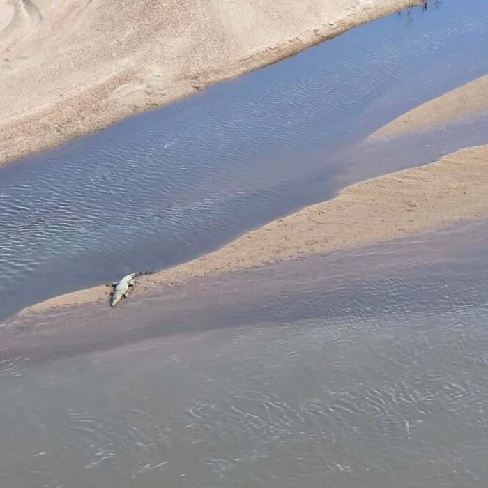 Вылез погреться