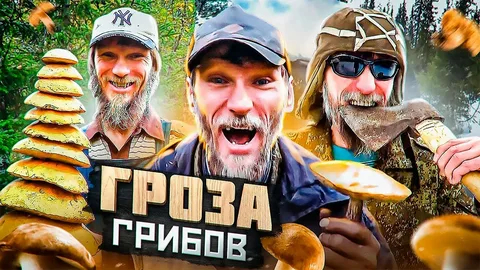 Ответ на пост «Это всё грибы»