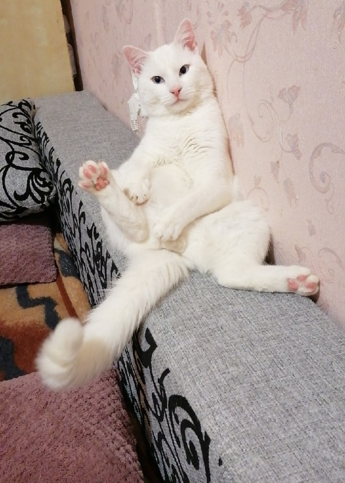 Бубенцы это святое;)