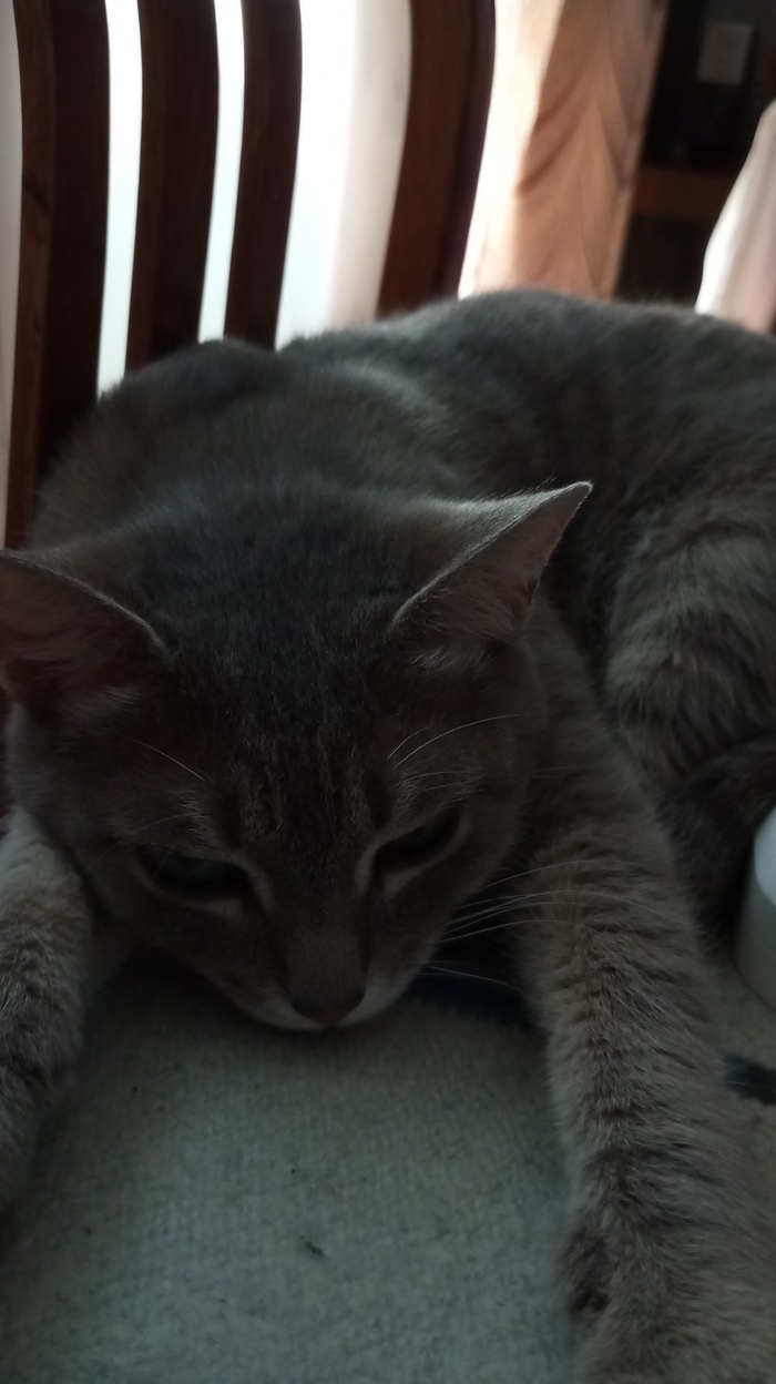 ���� ���� ����� �������