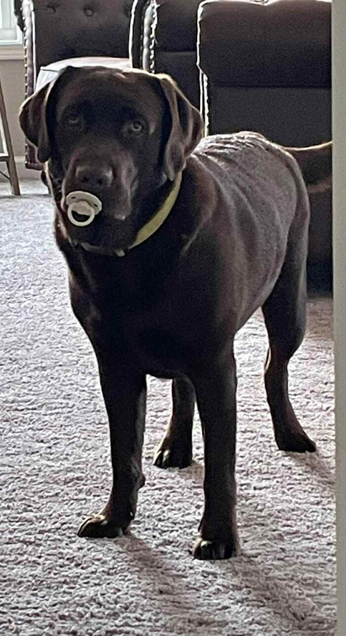 Кажется, у нас новый ребенок