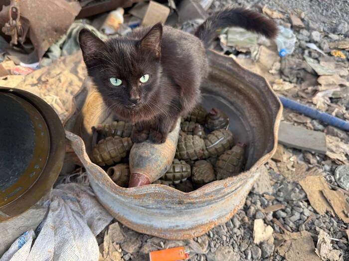 ���������� ������ ��� � �����