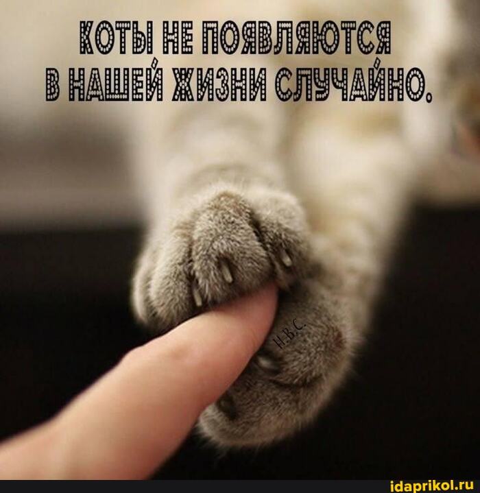 "" , , , , , ,   , 
