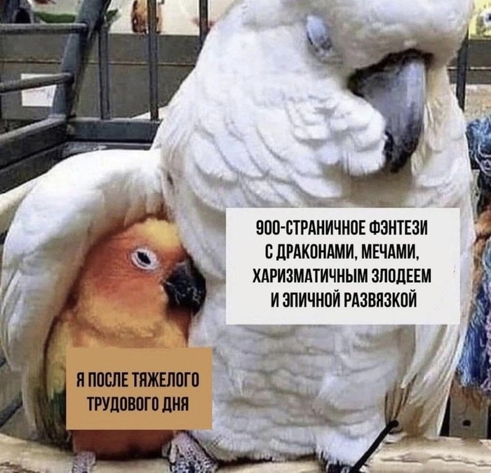      , , , , Telegram (), 