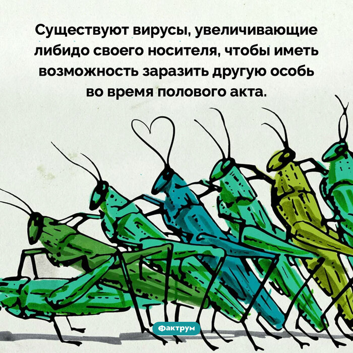        135   , , , , , , ,   