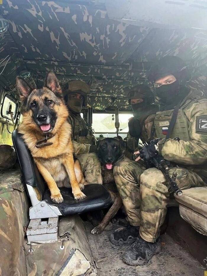 ������������ ������