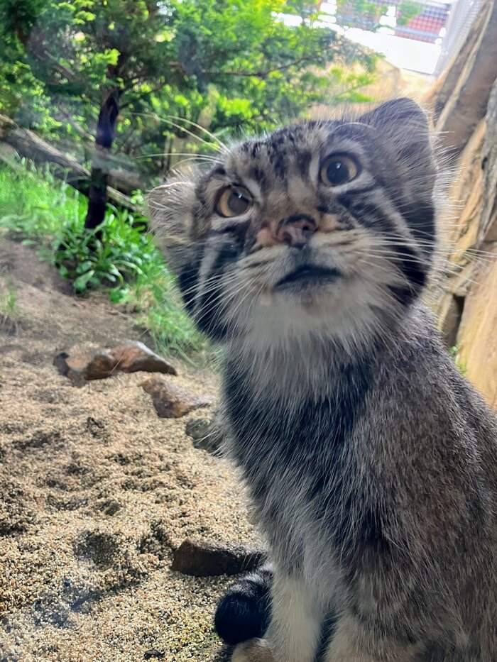 Жрёти? И без меня?