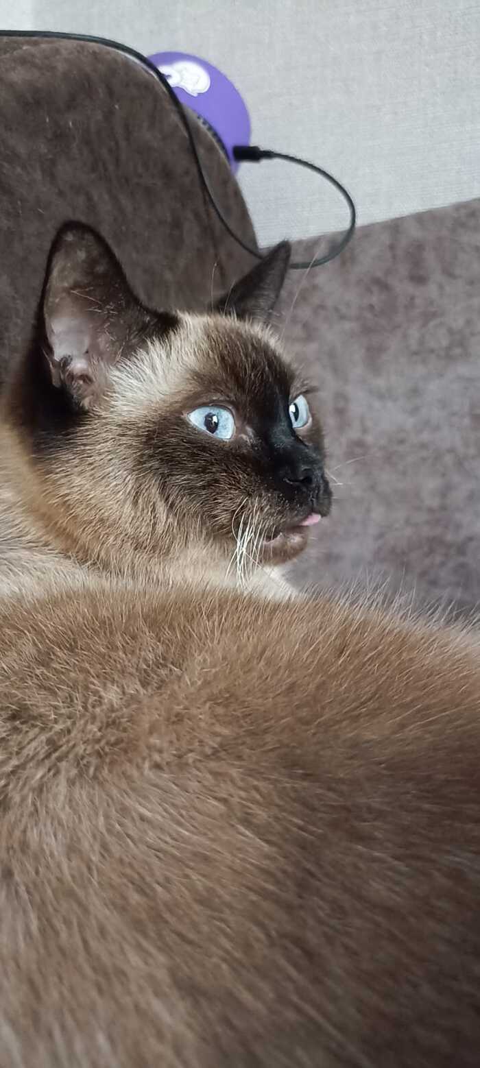     , , 