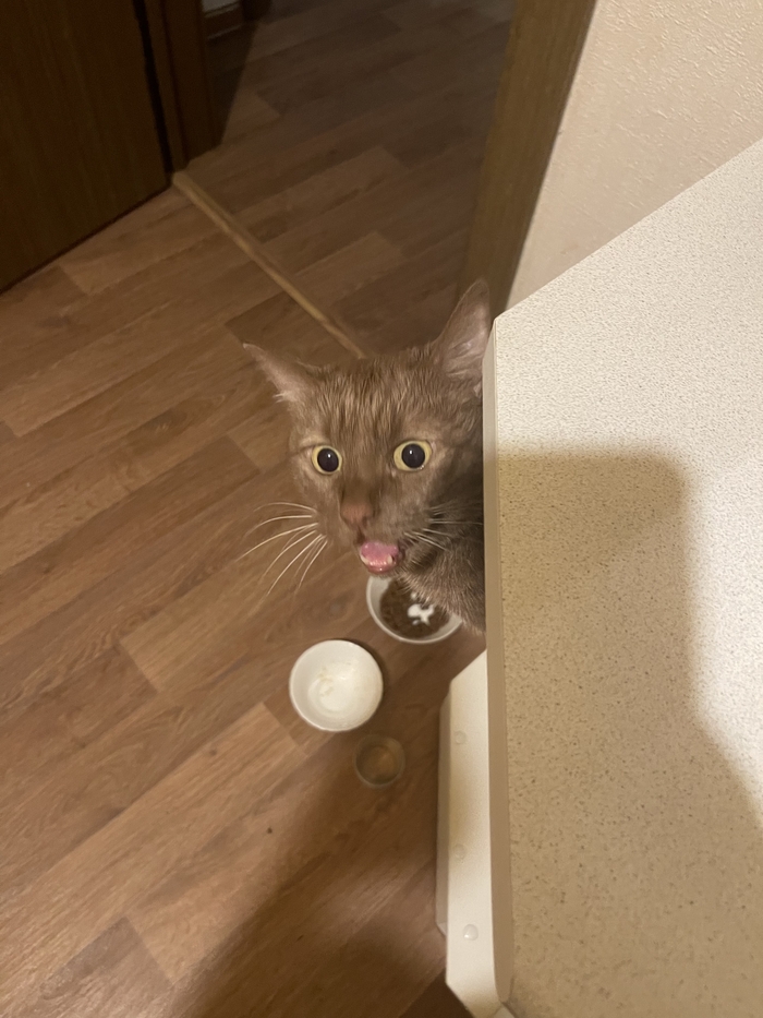 ���� ��������������