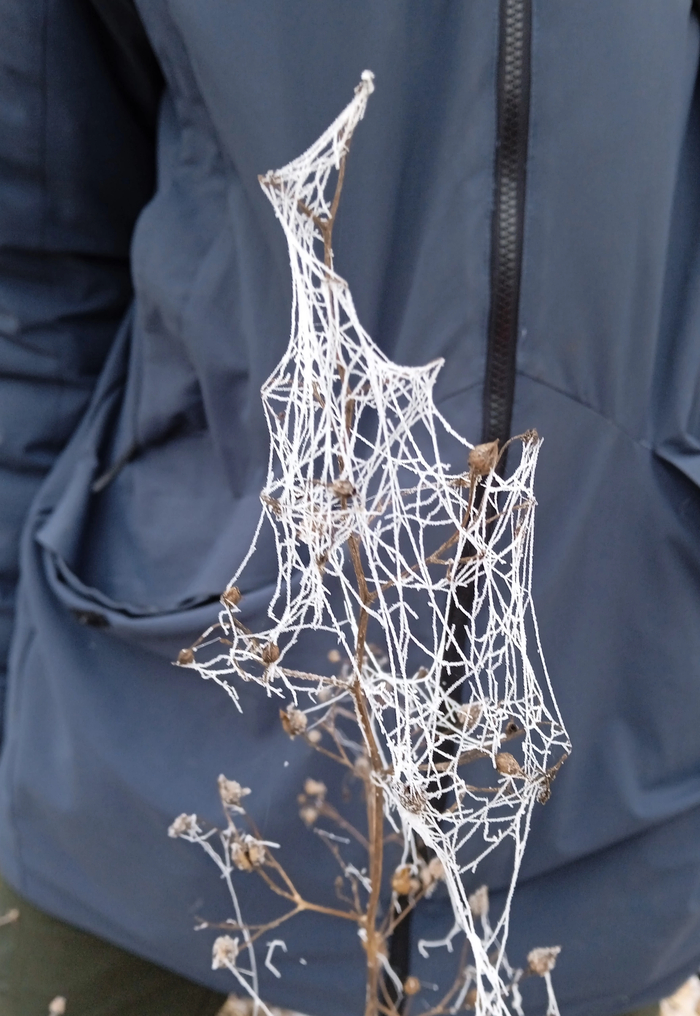 ��� ������ �����, ��� ����� ������...