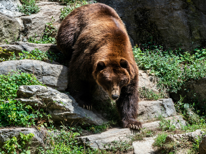       .  ,   .      ,    .