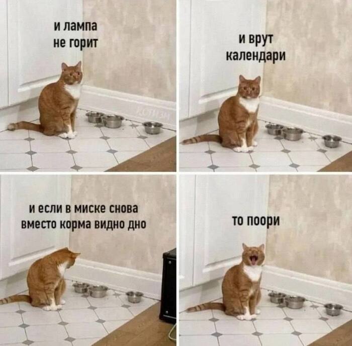  - &quot;  &quot;