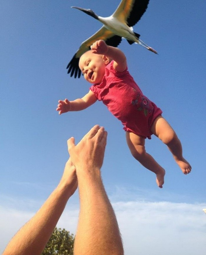   ,   , , , 