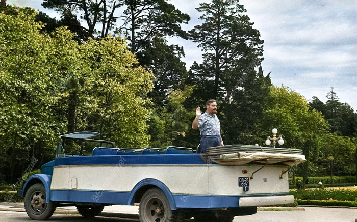 Автор: Е. А. Лаптева