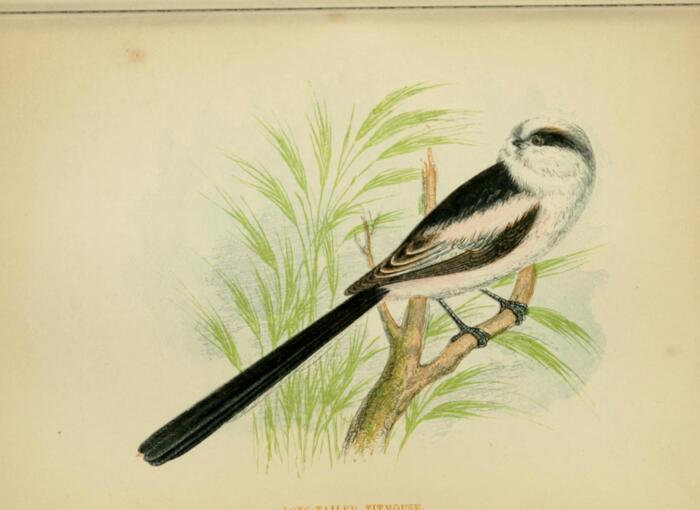     "   ".    <!--noindex--><a href="https://pikabu.ru/story/khudozhnitsa_yenn_pratt_12975196?u=http%3A%2F%2Fsummerweeds.com&t=summerweeds.com&h=a4fc24740d8387736fab9827c850b1aaae75138e" title="http://summerweeds.com" target="_blank" rel="nofollow noopener">summerweeds.com</a><!--/noindex-->.