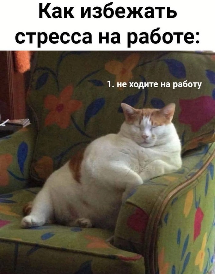   ,   , ,   , , , 