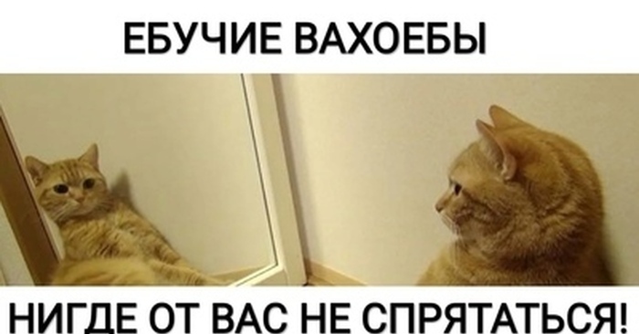 ������� � �� ����� �� ������ ����.