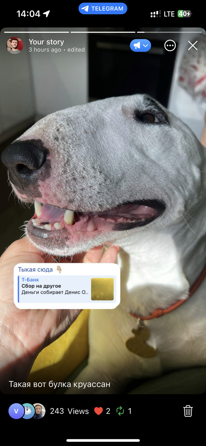 ����� �� ����� �� � �����