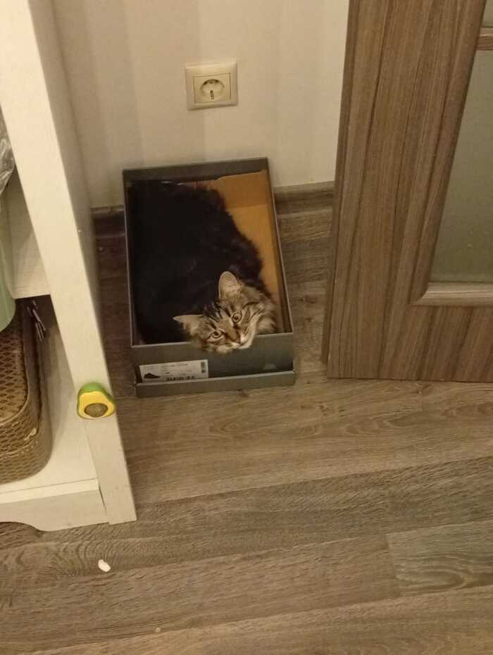         ,    ,        ,  , ,  , , , , ,  ,   , 
