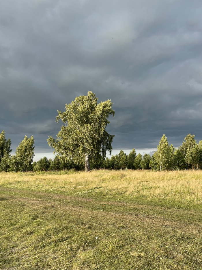 Боялись, что погода все испортит, но обошлось
