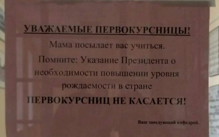 brjhp6qp.webp