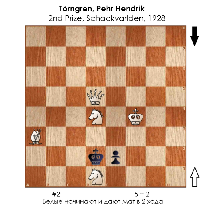  #323 ,  , , 
