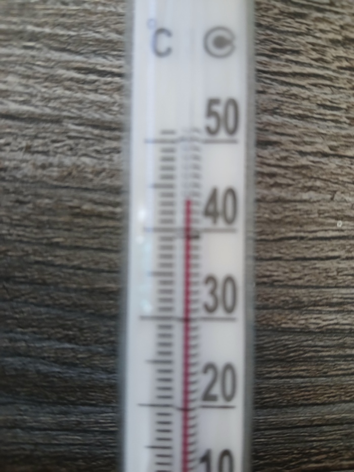   +43 , , 
