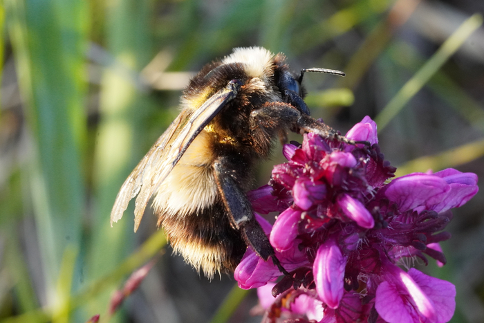            ,       7&#xB0;  .          .