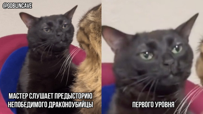  ,        ...