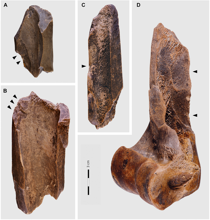 Костные фрагменты со следами разделки
