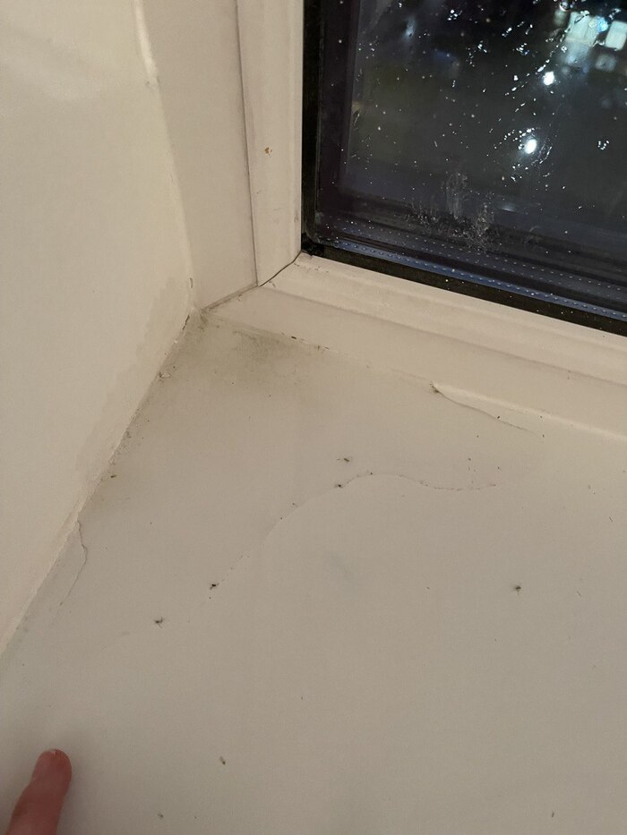   , ?   -       -           "   "