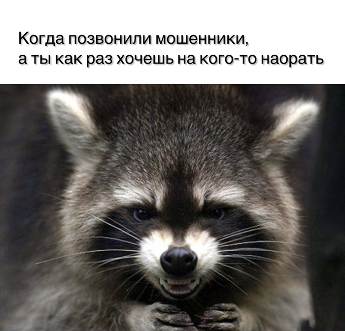 Звонит мошенник