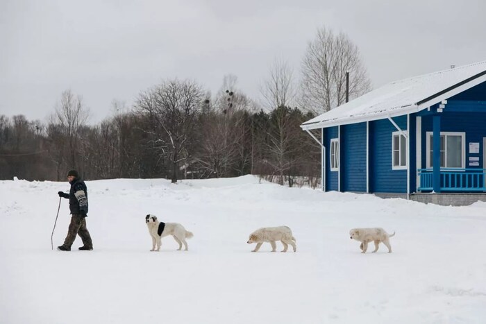     ,       ,       .  ,   ,   