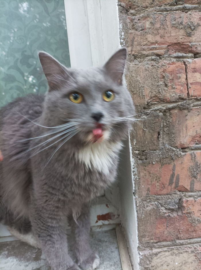  . ,  .  !  ,  , ,  , , 